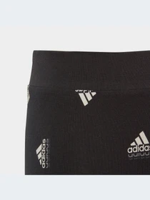 Брюки Adidas модель IB8916-KZ Фото