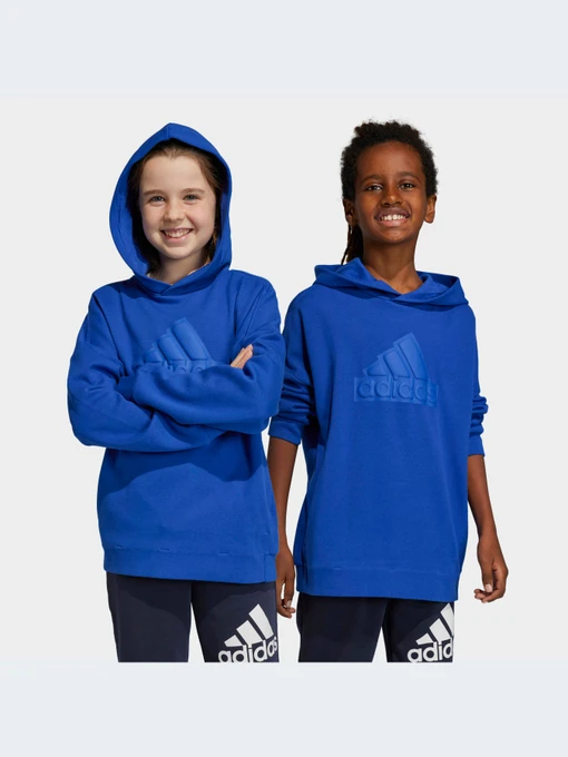 Худи и свитшоты Adidas модель HR6303-KZ Фото