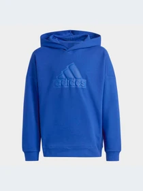 Худи и свитшоты Adidas модель HR6303-KZ Фото