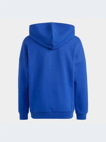 Худи и свитшоты Adidas модель HR6303-KZ Фото