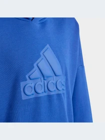 Худи и свитшоты Adidas модель HR6303-KZ Фото
