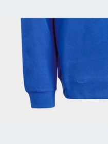 Худи и свитшоты Adidas модель HR6303-KZ Фото