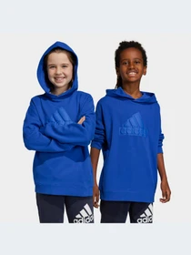 Худи и свитшоты Adidas модель HR6303-KZ Фото