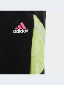 Брюки Adidas модель HS7568-KZ Фото