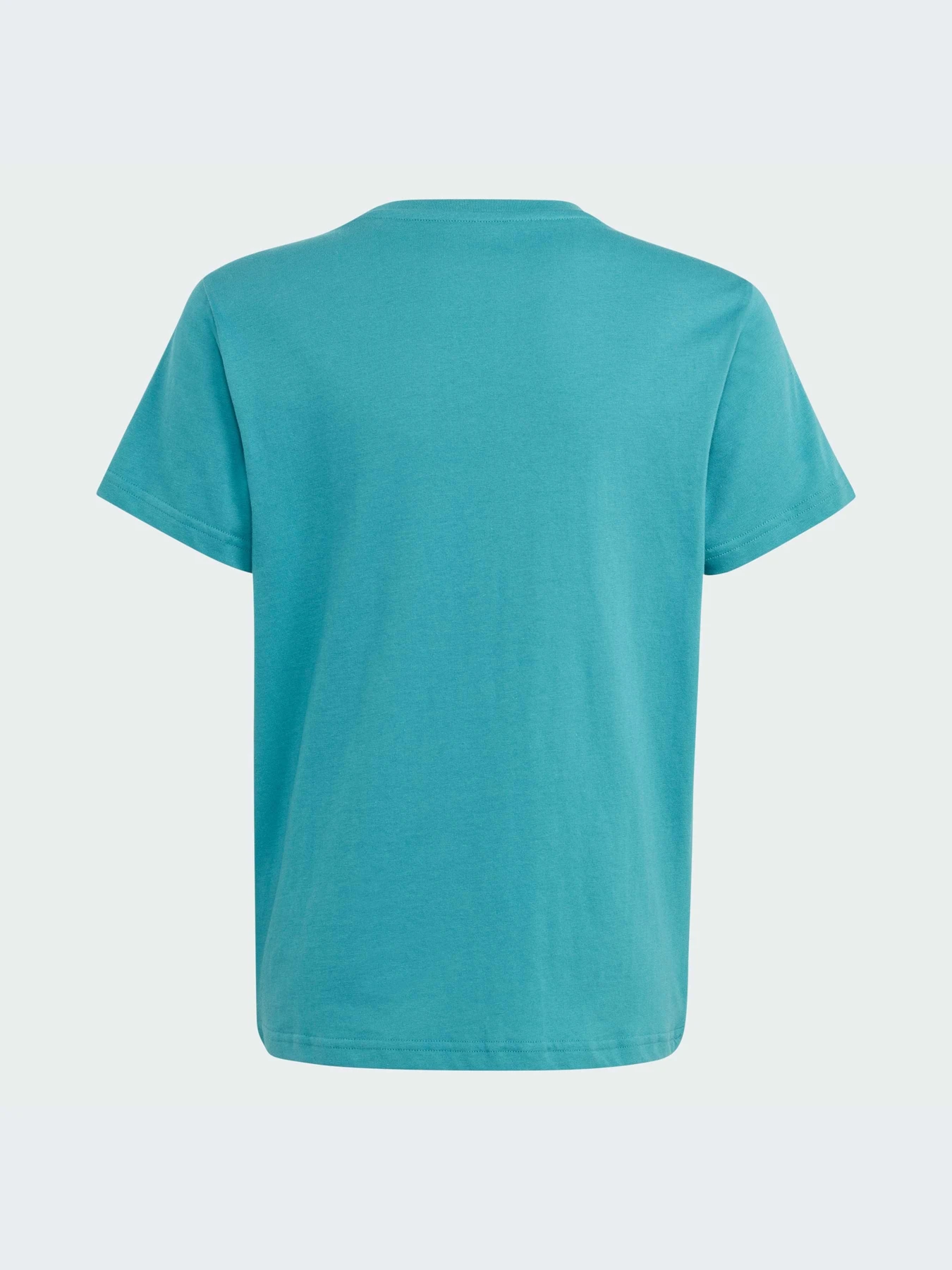 Футболки и поло Adidas Adicolor модель IJ7147-KZ Футболки и поло Adidas Adicolor модель IJ7147-KZ Фото