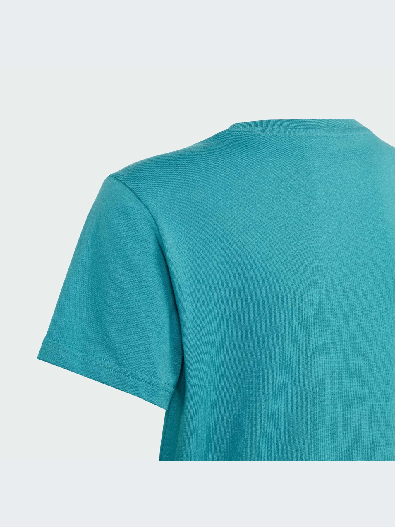 Футболки и поло Adidas Adicolor модель IJ7147-KZ Футболки и поло Adidas Adicolor модель IJ7147-KZ Фото