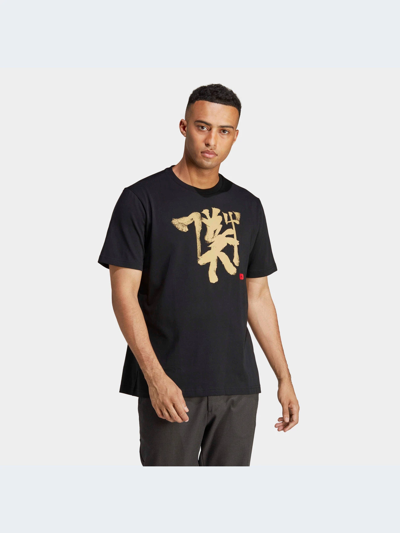 Футболки и поло Adidas модель IC4975-KZ Футболки и поло Adidas модель IC4975-KZ Фото