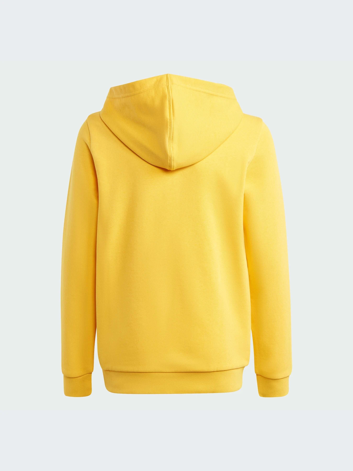 Худи и свитшоты Adidas модель HZ4967-KZ Худи и свитшоты Adidas модель HZ4967-KZ Фото