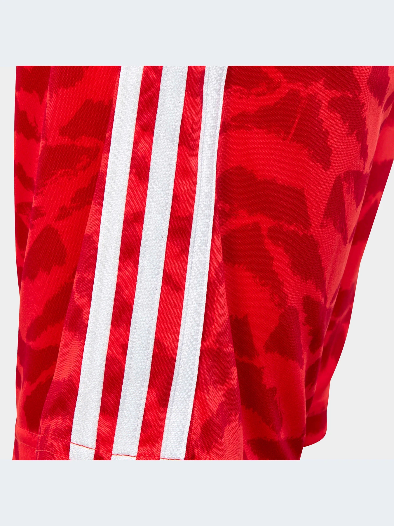 Шорты Adidas модель IC9995-KZ Шорты Adidas модель IC9995-KZ Фото