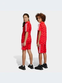 Шорты Adidas модель IC9995-KZ Фото