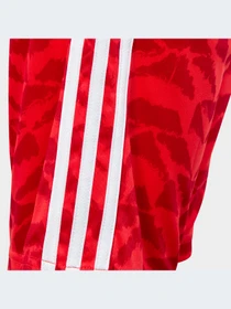 Шорты Adidas модель IC9995-KZ Фото