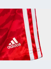 Шорты Adidas модель IC9995-KZ Фото