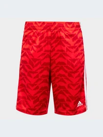 Шорты Adidas модель IC9995-KZ Фото