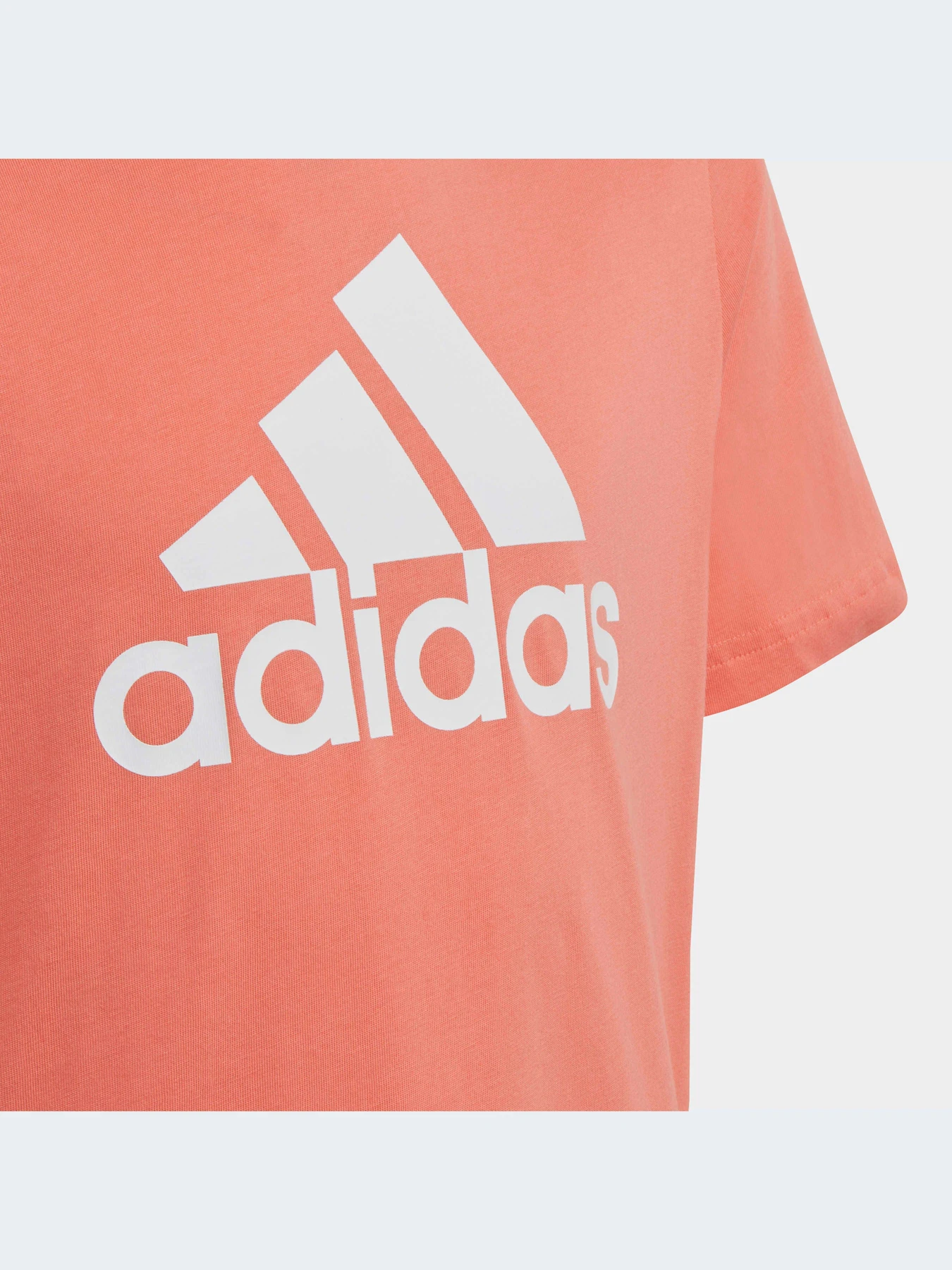 Футболки и поло Adidas модель IC6858-KZ Футболки и поло Adidas модель IC6858-KZ Фото