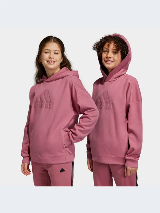 Худи и свитшоты Adidas модель HR6299-KZ Фото