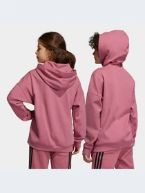 Худи и свитшоты Adidas модель HR6299-KZ Фото