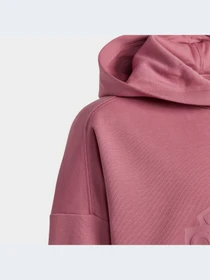 Худи и свитшоты Adidas модель HR6299-KZ Фото