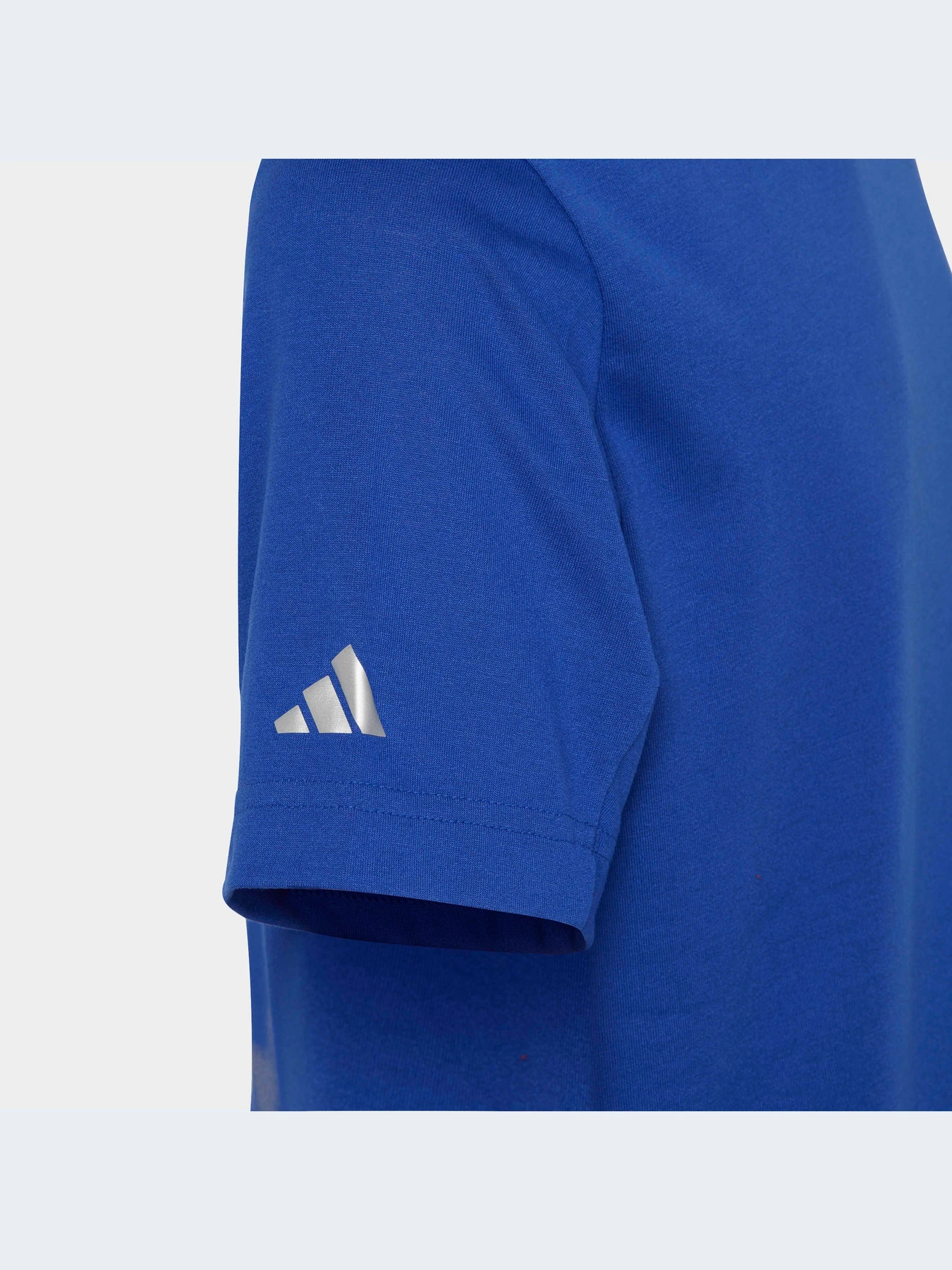 Футболки и поло Adidas модель IC5405-KZ Футболки и поло Adidas модель IC5405-KZ Фото