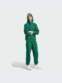 Худи и свитшоты Adidas Adicolor модель IM4403-KZ Фото