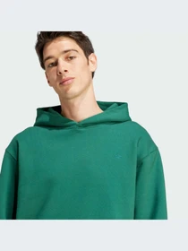 Худи и свитшоты Adidas Adicolor модель IM4403-KZ Фото