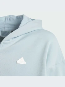 Худи и свитшоты Adidas модель IM0085-KZ Фото