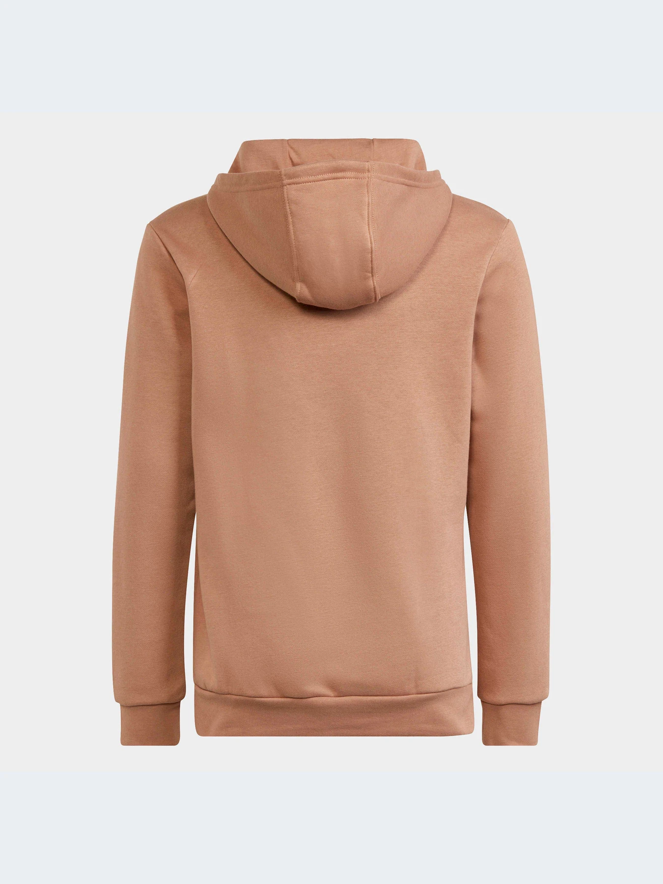 Худи и свитшоты Adidas модель IC3146-KZ Худи и свитшоты Adidas модель IC3146-KZ Фото