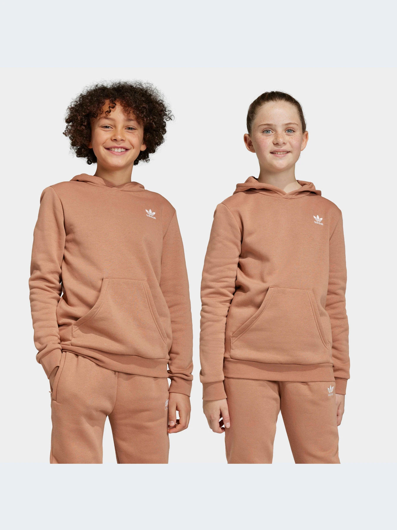 Худи и свитшоты Adidas модель IC3146-KZ Худи и свитшоты Adidas модель IC3146-KZ Фото