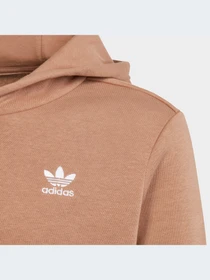 Худи и свитшоты Adidas модель IC3146-KZ Фото