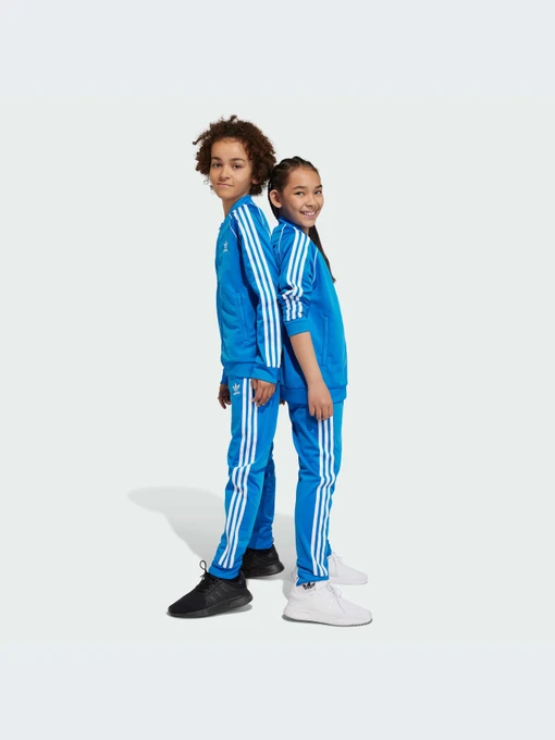 Брюки Adidas Adicolor модель IN4758-KZ Фото