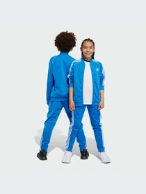 Брюки Adidas Adicolor модель IN4758-KZ Фото