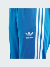 Брюки Adidas Adicolor модель IN4758-KZ Фото