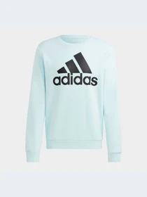 Худи и свитшоты Adidas модель HL2300-KZ Фото
