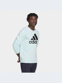 Худи и свитшоты Adidas модель HL2300-KZ Фото