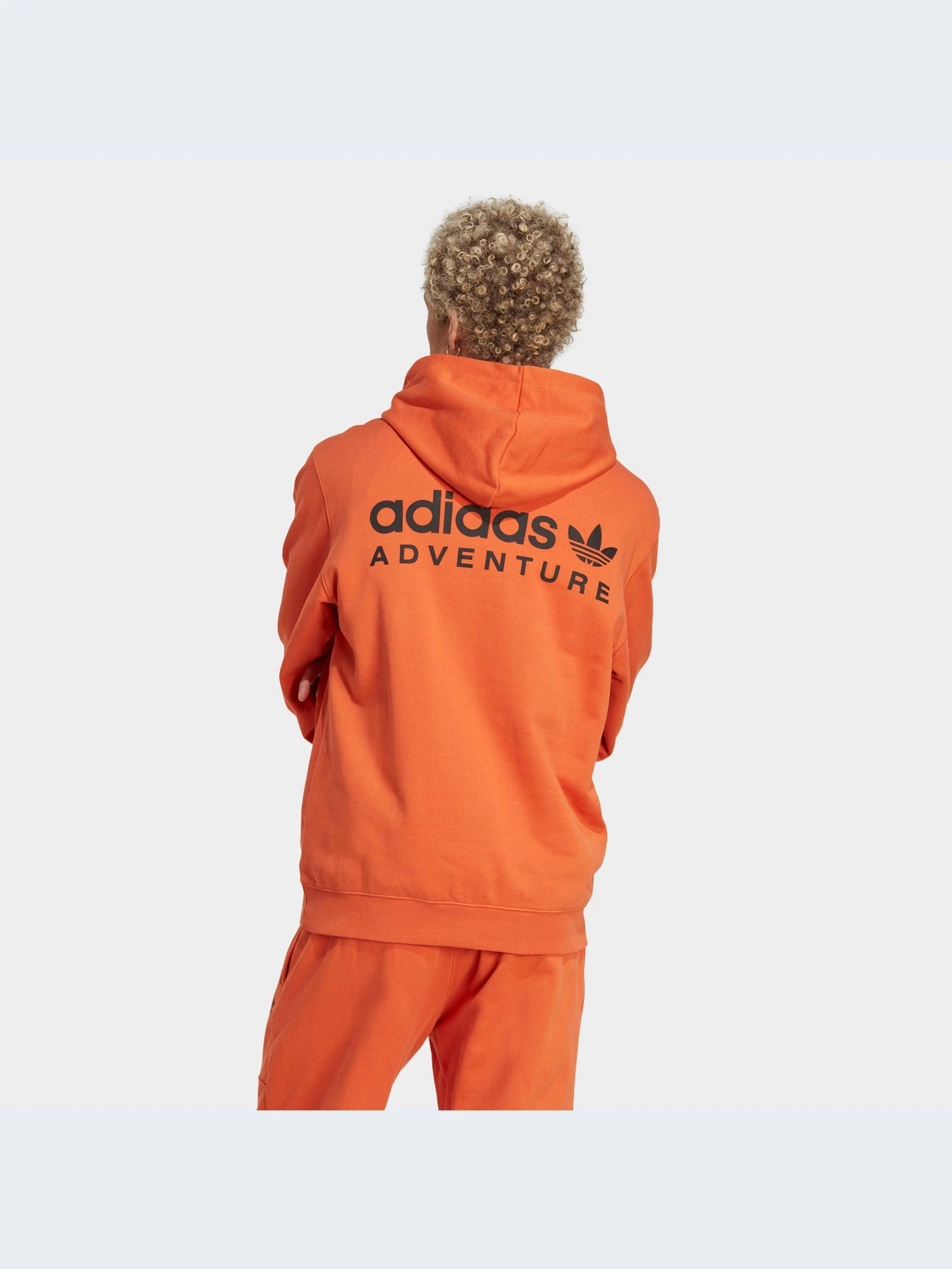 Худи и свитшоты Adidas модель IC5355-KZ Худи и свитшоты Adidas модель IC5355-KZ Фото