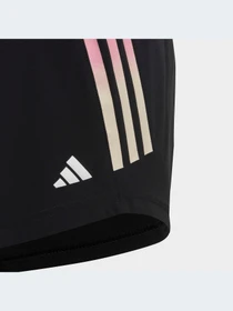 Шорты Adidas модель IC0347-KZ Фото