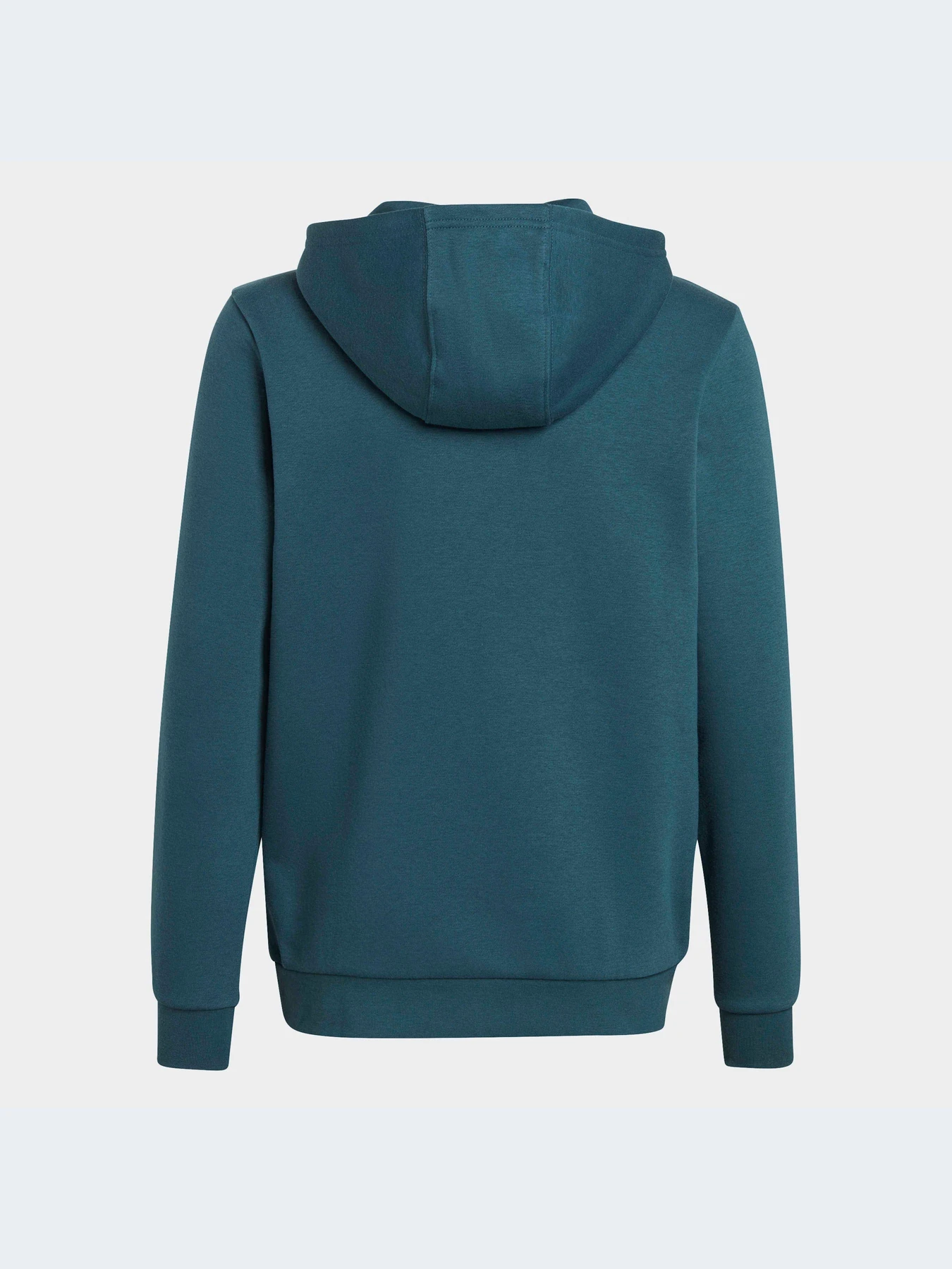 Худи и свитшоты Adidas Adicolor модель IJ9717-KZ Худи и свитшоты Adidas Adicolor модель IJ9717-KZ Фото