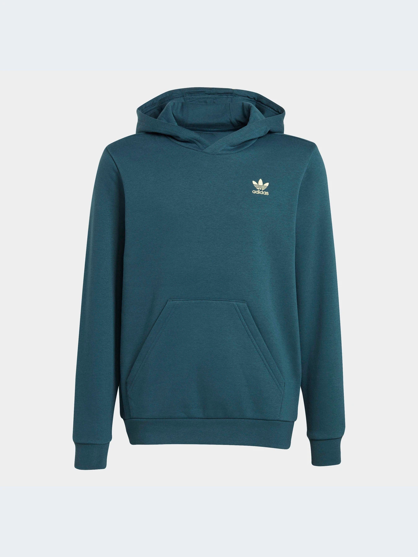 Худи и свитшоты Adidas Adicolor модель IJ9717-KZ Худи и свитшоты Adidas Adicolor модель IJ9717-KZ Фото
