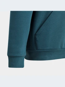 Худи и свитшоты Adidas Adicolor модель IJ9717-KZ Фото