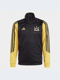 Худи и свитшоты Adidas модель HR8840-KZ Фото
