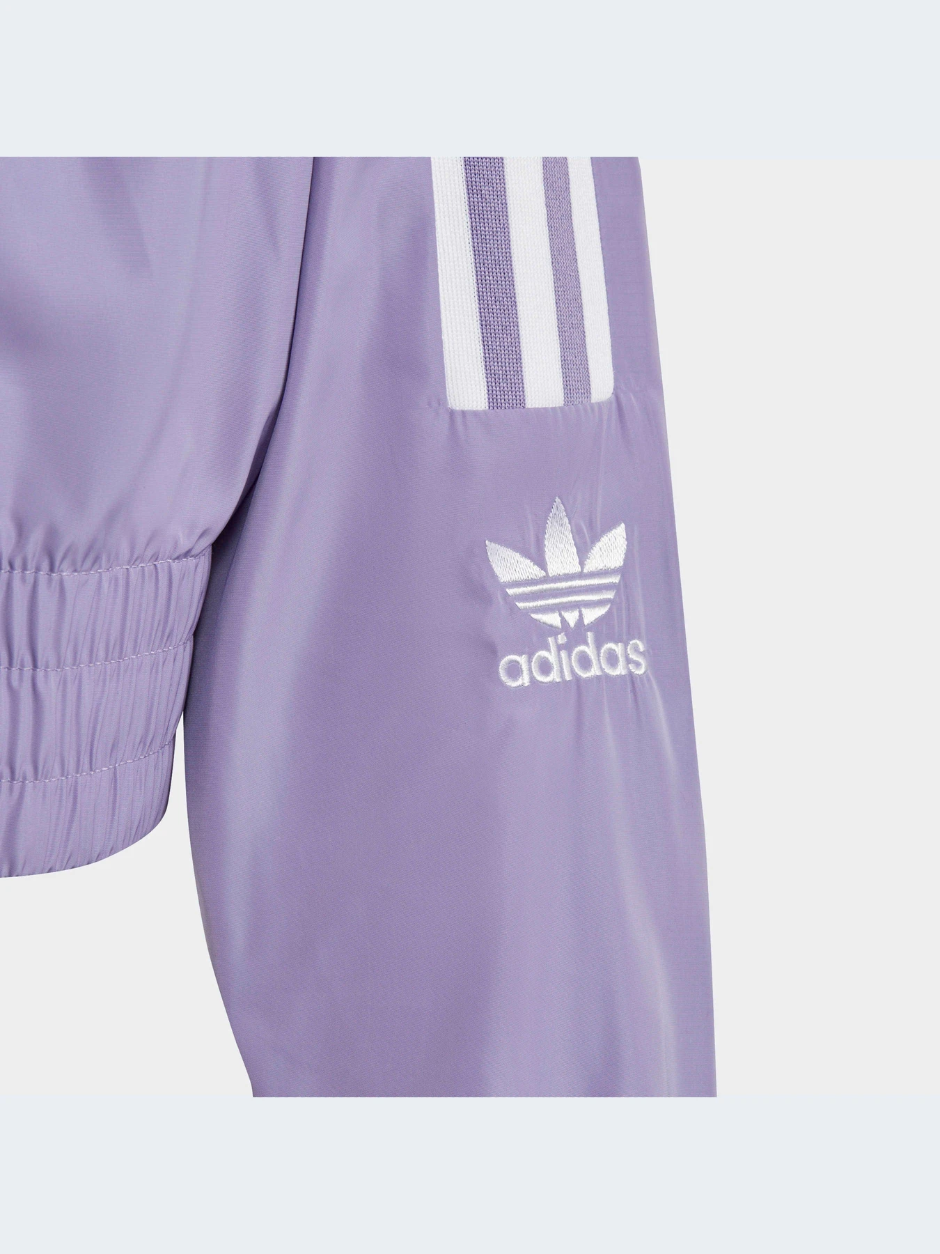 Худи и свитшоты Adidas Adicolor модель IC6271-KZ Худи и свитшоты Adidas Adicolor модель IC6271-KZ Фото