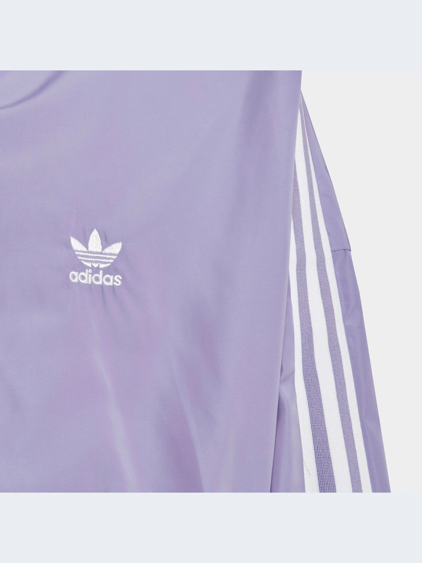 Худи и свитшоты Adidas Adicolor модель IC6271-KZ Худи и свитшоты Adidas Adicolor модель IC6271-KZ Фото