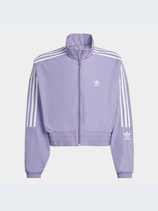 Худи и свитшоты Adidas Adicolor модель IC6271-KZ Фото