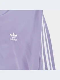 Худи и свитшоты Adidas Adicolor модель IC6271-KZ Фото