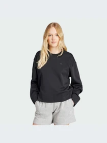 Худи и свитшоты Adidas модель IJ9622-KZ Фото