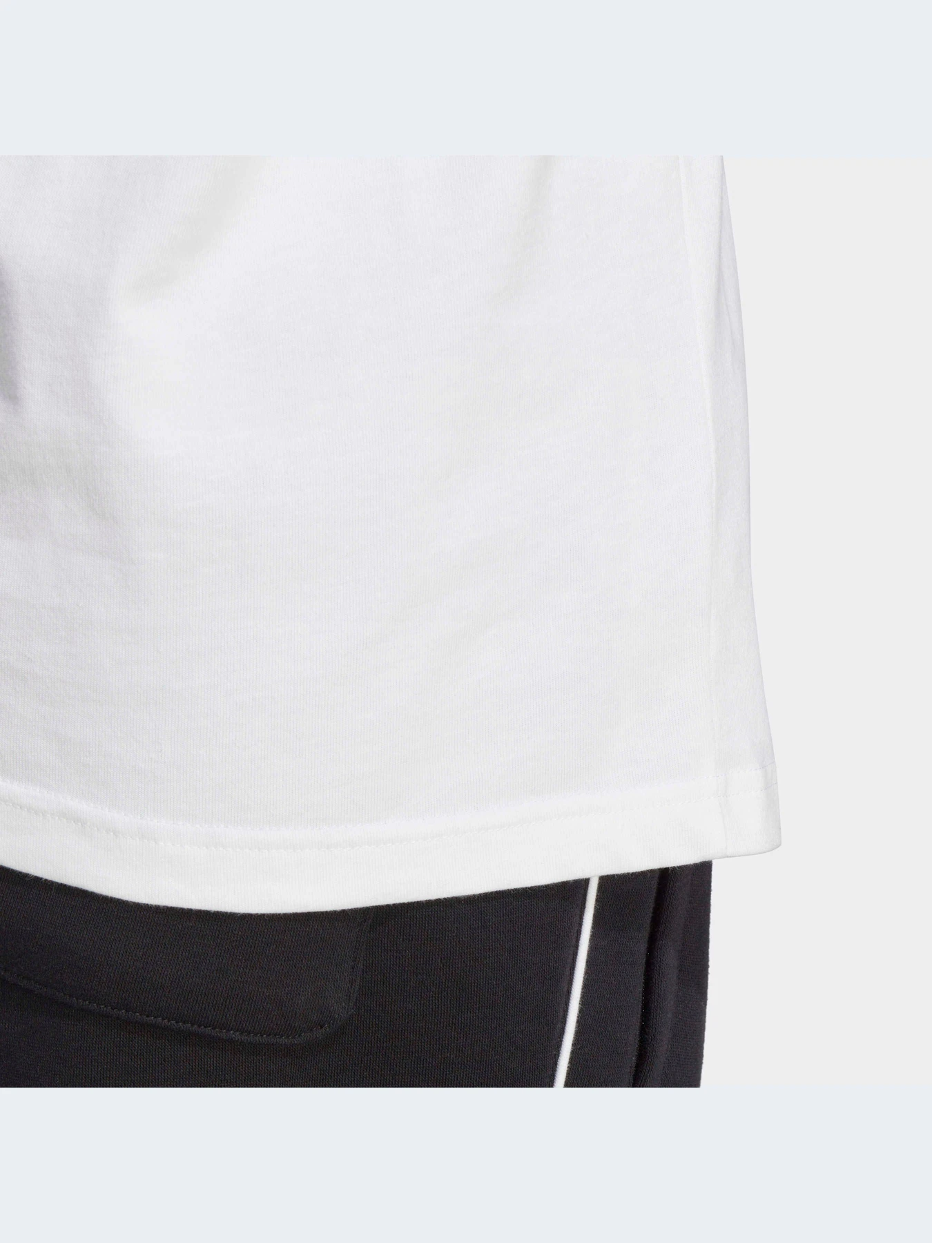 Худи и свитшоты Adidas Adicolor модель IA4879-KZ Худи и свитшоты Adidas Adicolor модель IA4879-KZ Фото