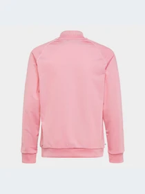 Худи и свитшоты Adidas Adicolor модель HK0299-KZ Фото