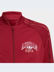 Спортивная одежда Adidas Graphics модель IJ0758-KZ Фото
