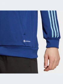 Худи и свитшоты Adidas Tiro модель HS7490-KZ Фото