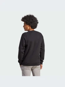 Худи и свитшоты Adidas Trefoil модель IM4532-KZ Фото