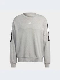 Худи и свитшоты Adidas модель IC6813-KZ Фото